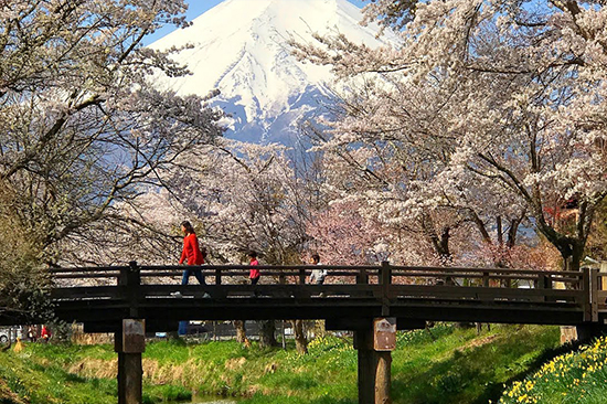 Mount Fuji Day Tour | Things to do in Tokyo | Holigoes Travel