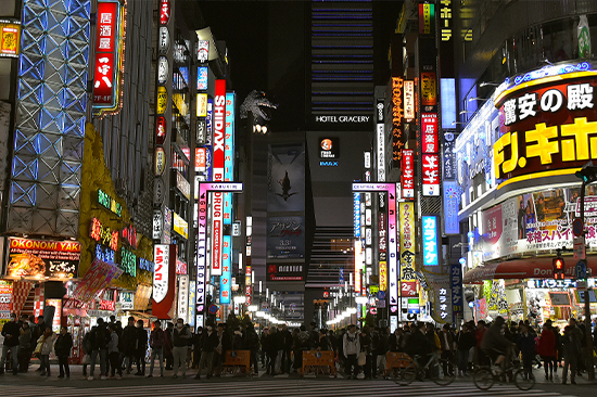 Book a Night Tour in Tokyo | Holigoes Travel